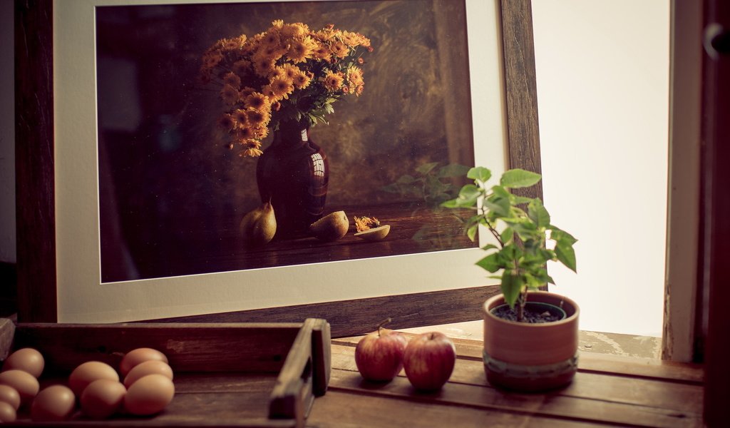 Обои яблоки, растение, яйца, рамка, фотография, натюрморт, горшочек, apples, plant, eggs, frame, photo, still life, pot разрешение 2048x1152 Загрузить