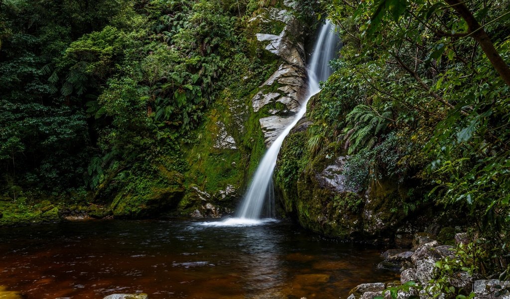 Обои камни, лес, ручей, кусты, водопад, мох, новая зеландия, hokitika, stones, forest, stream, the bushes, waterfall, moss, new zealand разрешение 2880x2046 Загрузить