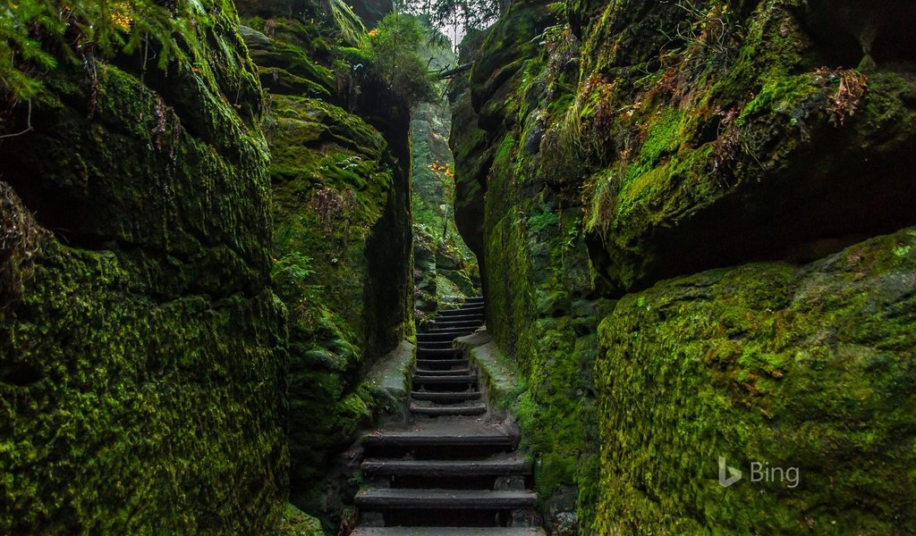 Обои скалы, природа, лестница, bing, rocks, nature, ladder разрешение 1920x1200 Загрузить