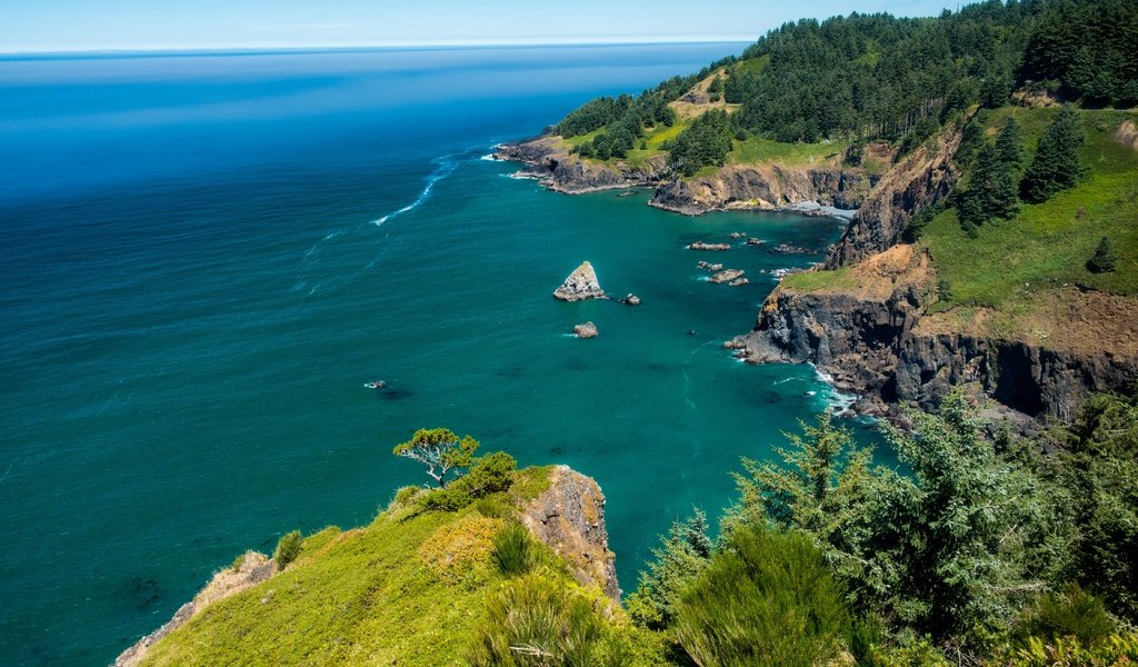 Обои деревья, скалы, камни, море, горизонт, побережье, сша, орегон, trees, rocks, stones, sea, horizon, coast, usa, oregon разрешение 5500x3670 Загрузить