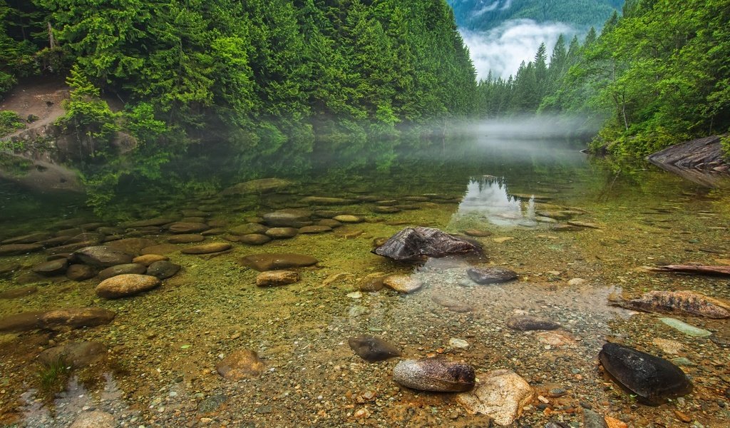 Обои деревья, вода, река, природа, камни, пейзаж, trees, water, river, nature, stones, landscape разрешение 1920x1080 Загрузить