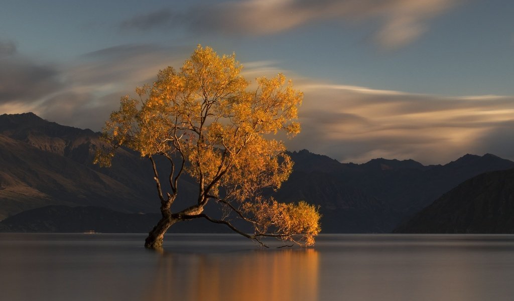 Обои вода, озеро, горы, природа, дерево, осень, новая зеландия, water, lake, mountains, nature, tree, autumn, new zealand разрешение 2198x1466 Загрузить