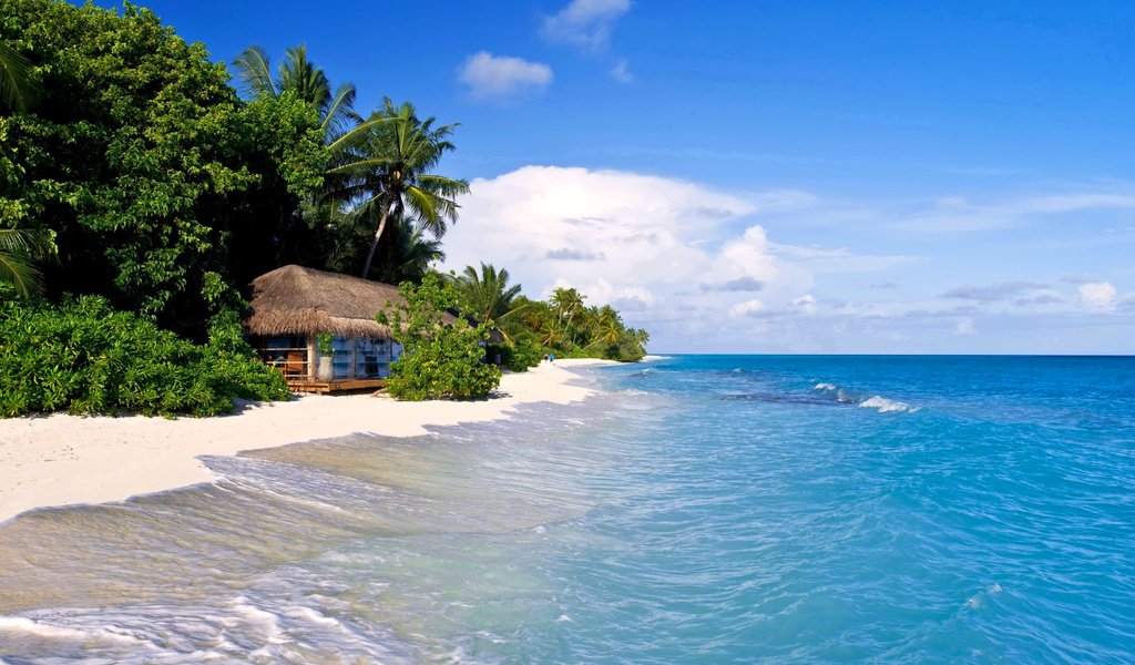 Обои море, пляж, пальмы, отдых, тропики, sea, beach, palm trees, stay, tropics разрешение 4096x2160 Загрузить