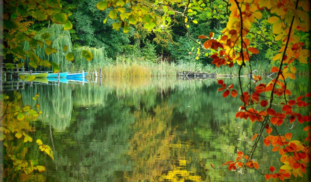 Обои озеро, природа, лес, отражение, осень, лодки, lake, nature, forest, reflection, autumn, boats разрешение 1920x1200 Загрузить