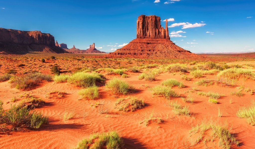 Обои трава, горы, скалы, пустыня, сша, аризона, долина монументов, grass, mountains, rocks, desert, usa, az, monument valley разрешение 1920x1282 Загрузить