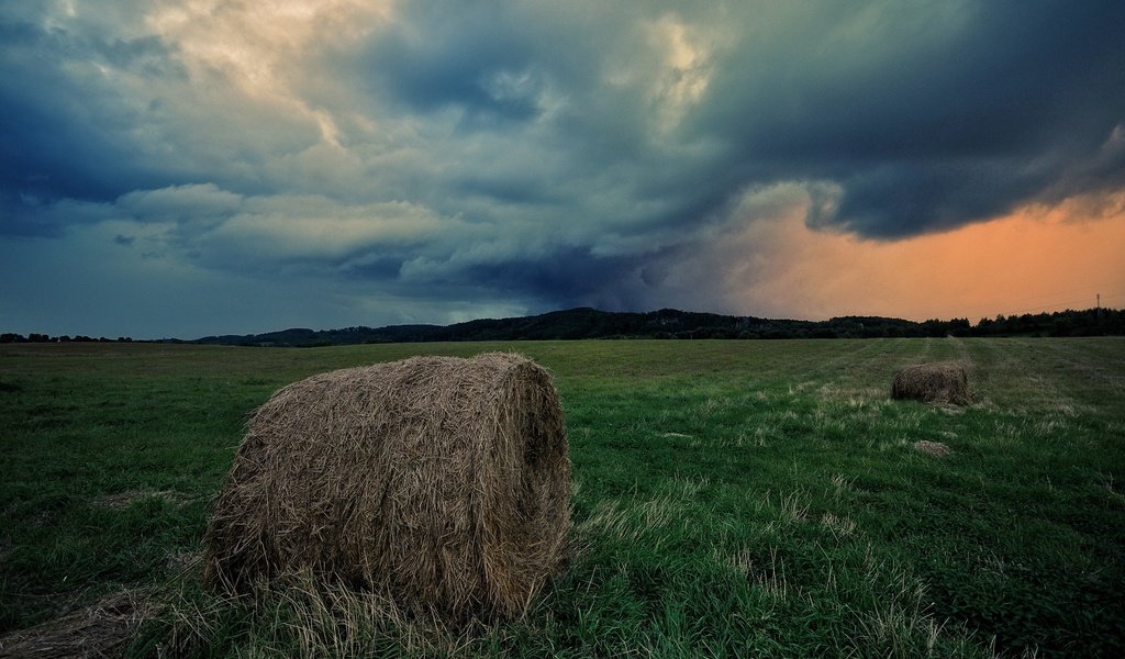 Обои небо, трава, облака, поле, горизонт, сено, тюки, рулоны, the sky, grass, clouds, field, horizon, hay, bales, rolls разрешение 1920x1275 Загрузить