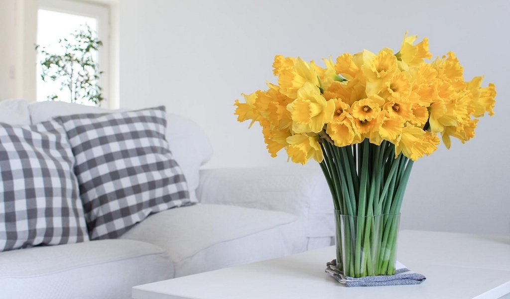 Обои цветы, букет, нарциссы, желтые, flowers, bouquet, daffodils, yellow разрешение 1920x1200 Загрузить