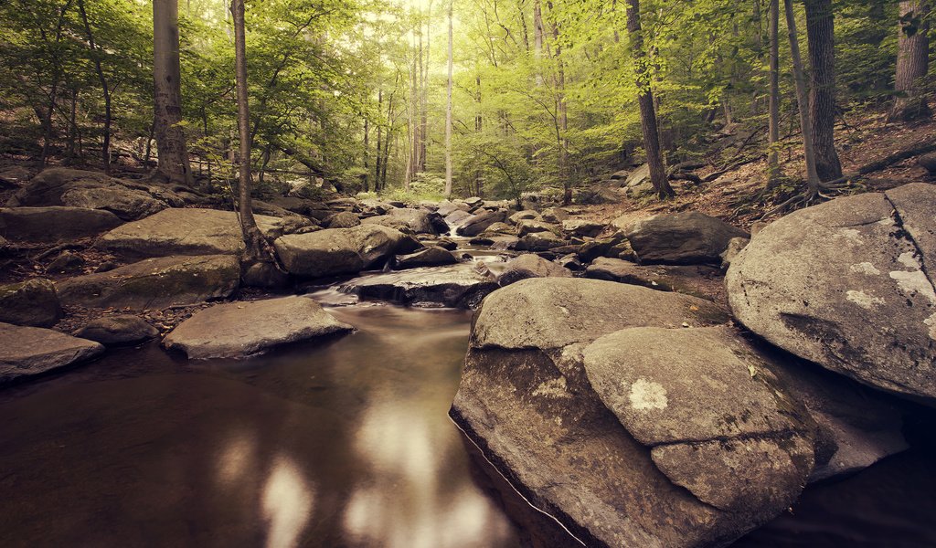 Обои река, природа, камни, лес, river, nature, stones, forest разрешение 2880x1800 Загрузить