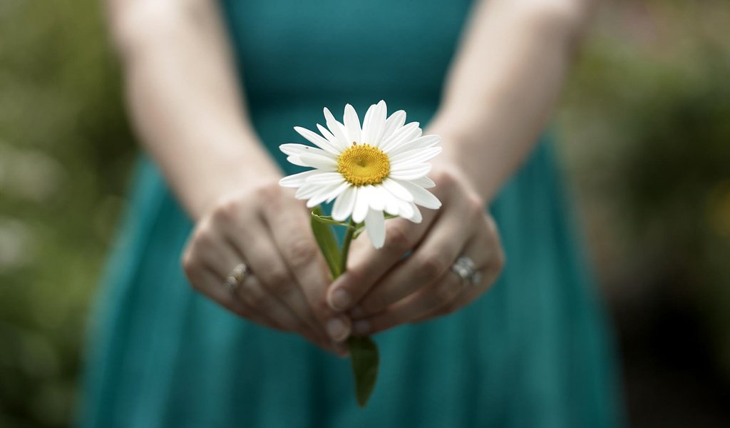 Обои девушка, настроение, цветок, ромашка, руки, кольца, girl, mood, flower, daisy, hands, ring разрешение 1920x1200 Загрузить