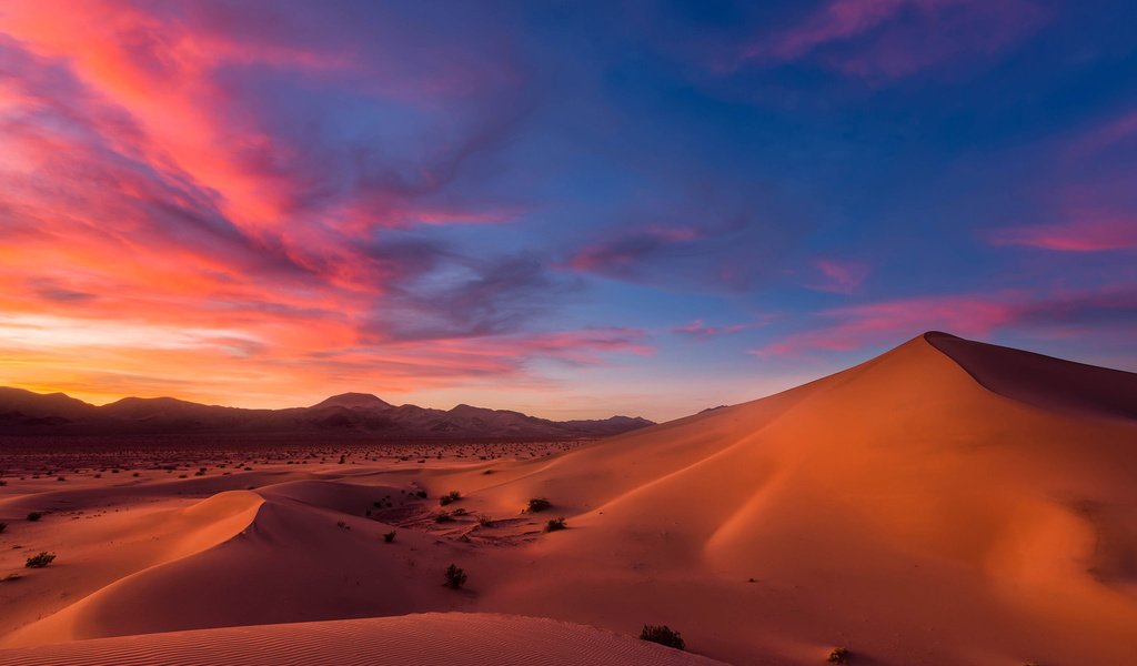 Обои небо, облака, песок, горизонт, пустыня, закат солнца, сумерки, дюны, the sky, clouds, sand, horizon, desert, sunset, twilight, dunes разрешение 1920x1200 Загрузить