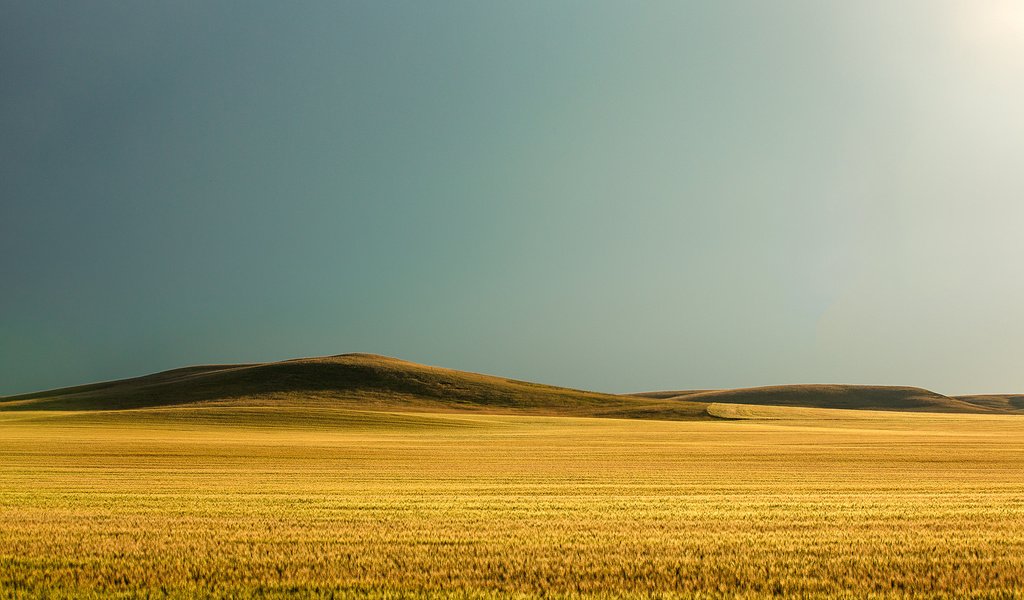 Обои небо, todd klassy, природа, поле, горизонт, сша, пшеница, холм, монтана, the sky, nature, field, horizon, usa, wheat, hill, montana разрешение 2048x1365 Загрузить