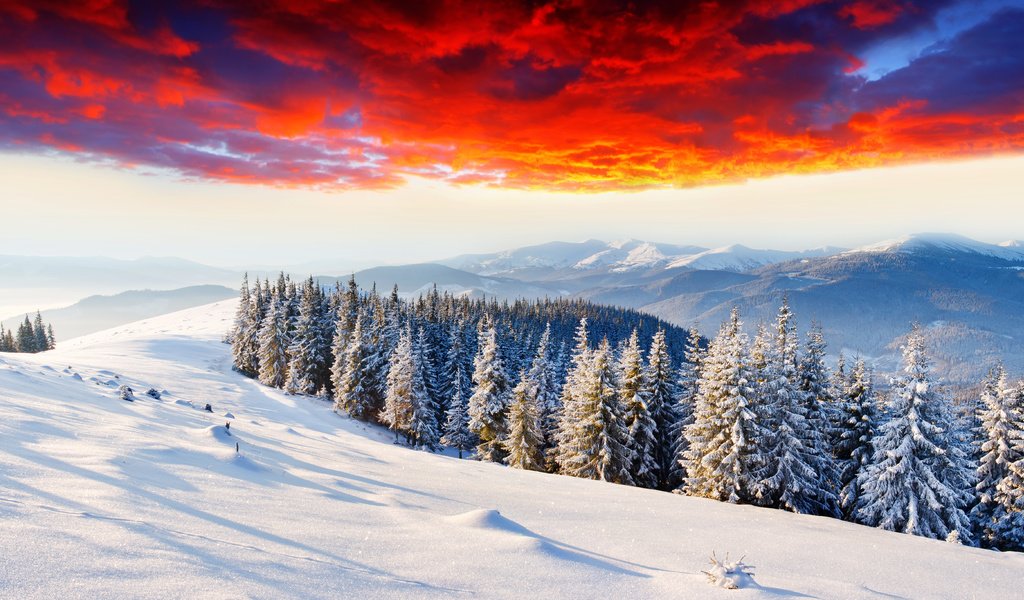 Обои небо, горизонт, облака, елки, горы, зарево, снег, природа, лес, закат, зима, the sky, horizon, clouds, tree, mountains, glow, snow, nature, forest, sunset, winter разрешение 6452x3268 Загрузить