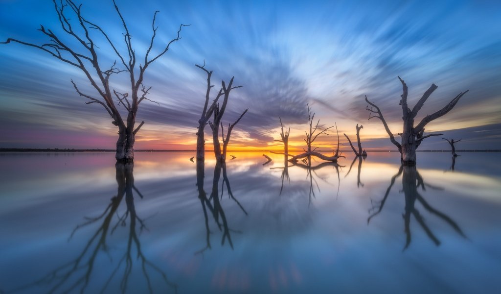 Обои деревья, озеро, отражение, австралия, южная австралия, lake bonney, trees, lake, reflection, australia, south australia разрешение 2048x1365 Загрузить