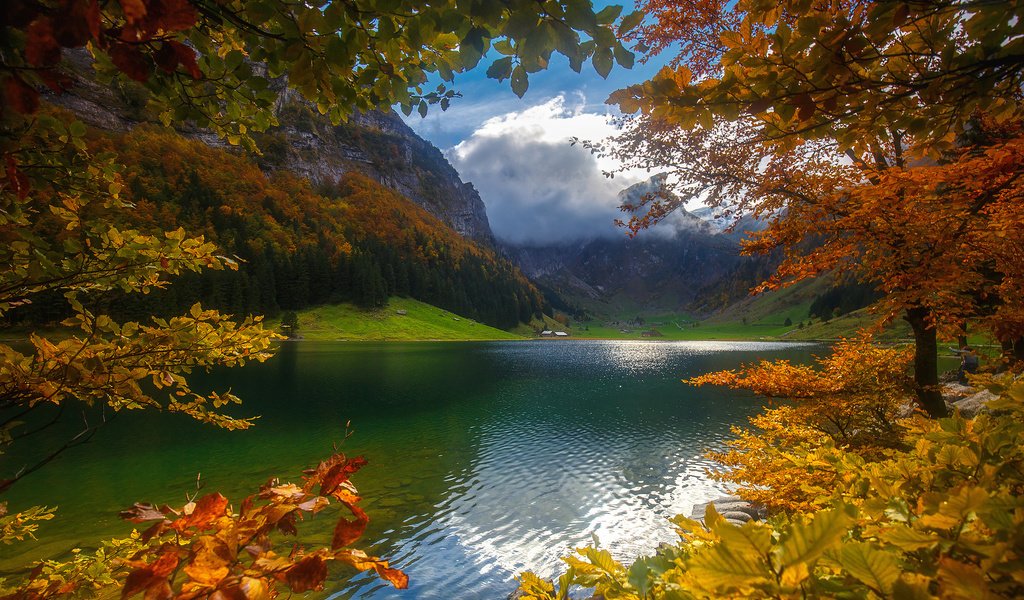 Обои небо, облака, деревья, озеро, горы, лес, осень, the sky, clouds, trees, lake, mountains, forest, autumn разрешение 1920x1200 Загрузить