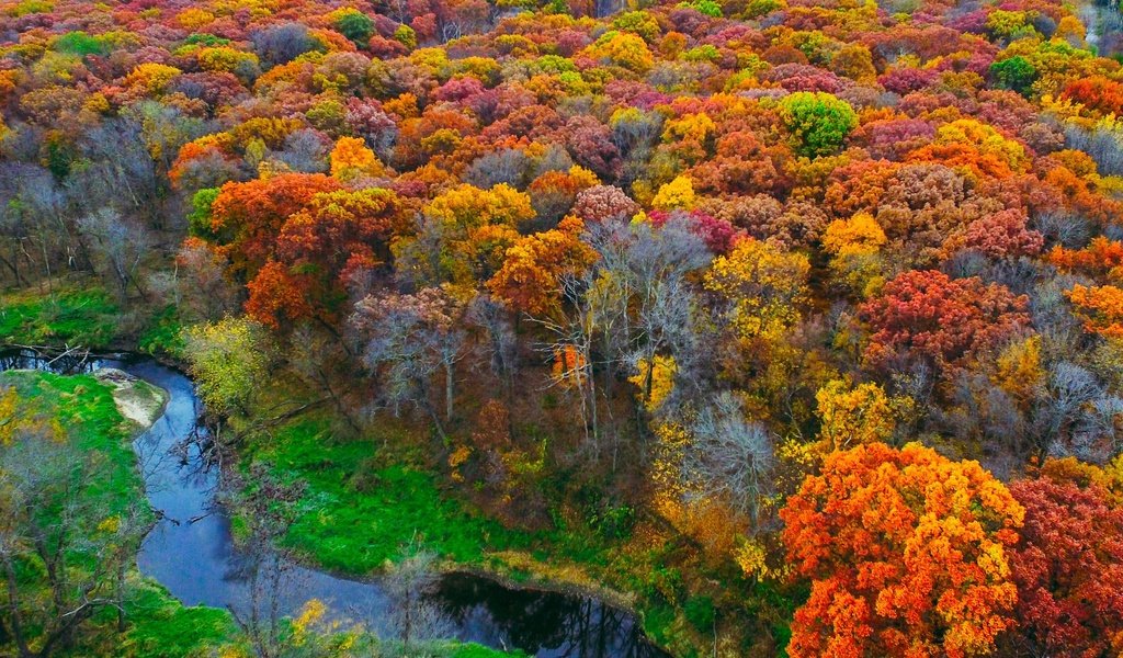 Обои деревья, река, природа, лес, листья, осень, trees, river, nature, forest, leaves, autumn разрешение 2880x1800 Загрузить