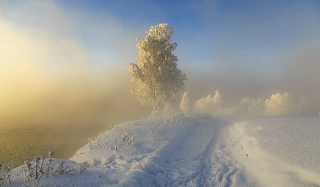 Обои дорога, следы, снег, sergeo, природа, дерево, зима, пейзаж, туман, иней, road, traces, snow, nature, tree, winter, landscape, fog, frost разрешение 1920x1200 Загрузить