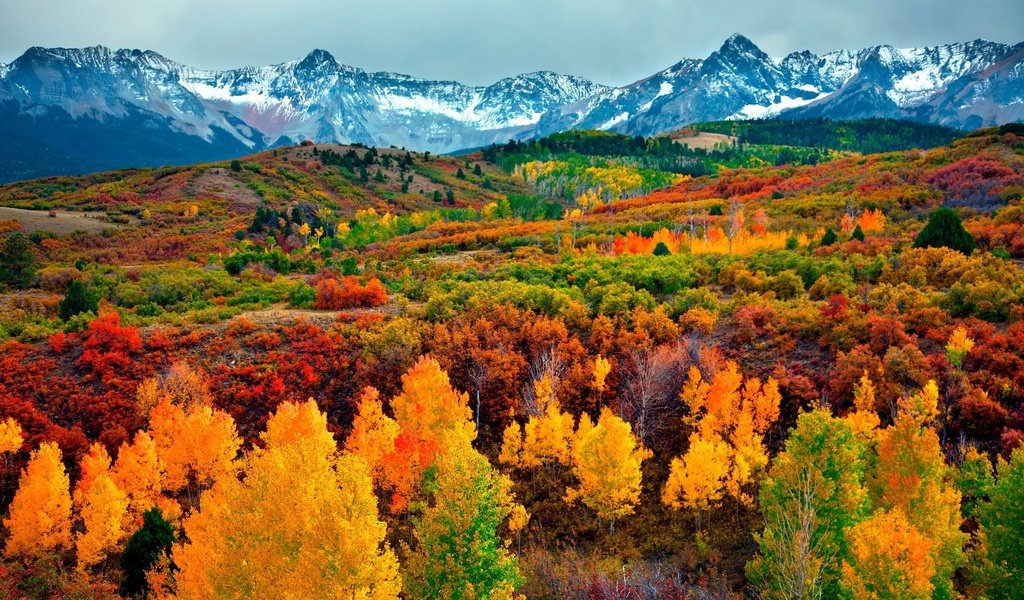 Обои небо, деревья, горы, снег, лес, осень, the sky, trees, mountains, snow, forest, autumn разрешение 3000x2000 Загрузить