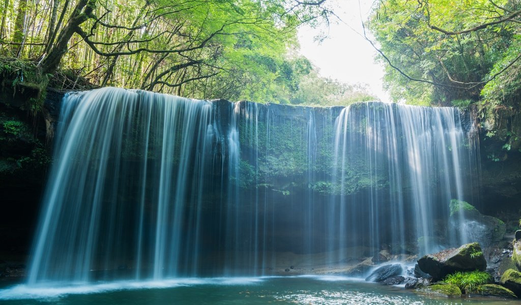 Обои деревья, вода, камни, лес, водопад, trees, water, stones, forest, waterfall разрешение 7360x4912 Загрузить