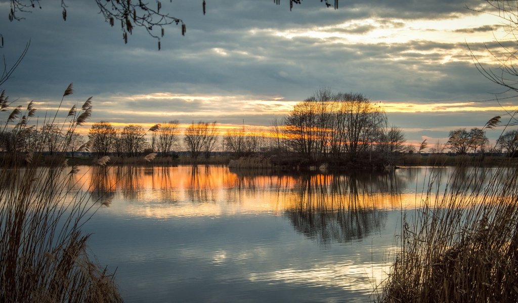 Обои небо, деревья, вечер, река, природа, отражение, осень, the sky, trees, the evening, river, nature, reflection, autumn разрешение 5947x3965 Загрузить