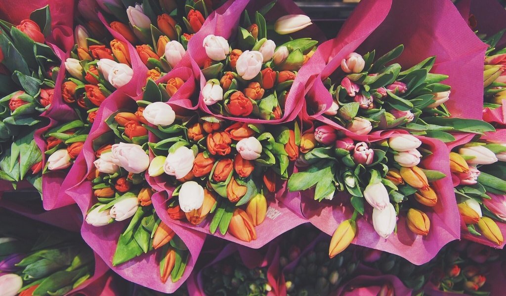 Обои цветы, тюльпаны, букеты, flowers, tulips, bouquets разрешение 2048x1536 Загрузить