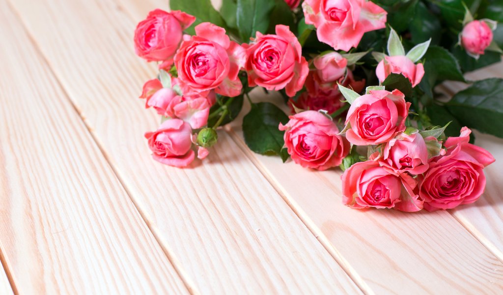 Обои розы, букет, розовые, roses, bouquet, pink разрешение 5472x3648 Загрузить