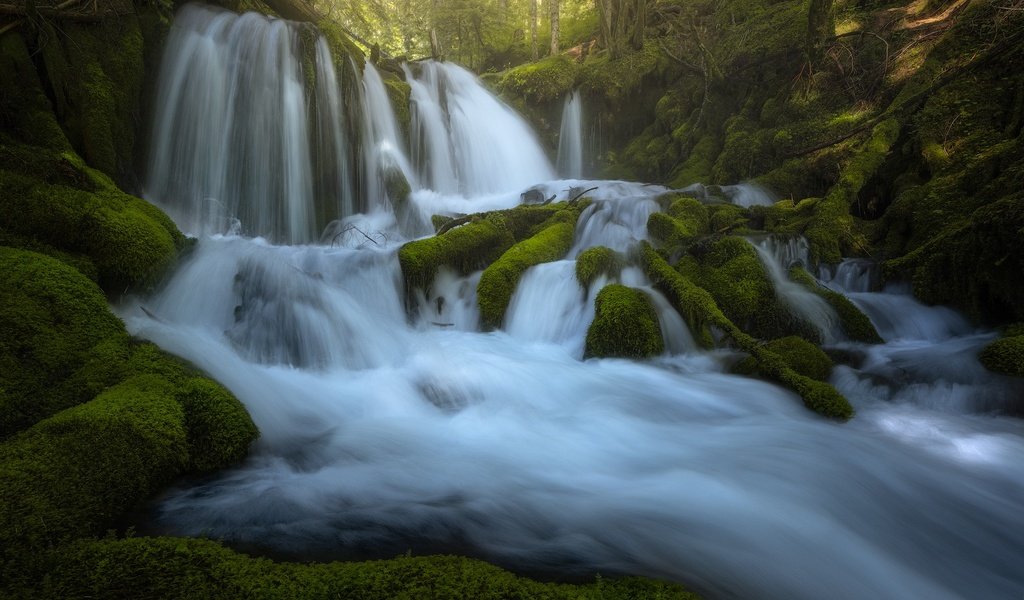 Обои река, водопады, камни, каскад, зелень, лес, водопад, поток, мох, корни, river, waterfalls, stones, cascade, greens, forest, waterfall, stream, moss, roots разрешение 2048x1365 Загрузить