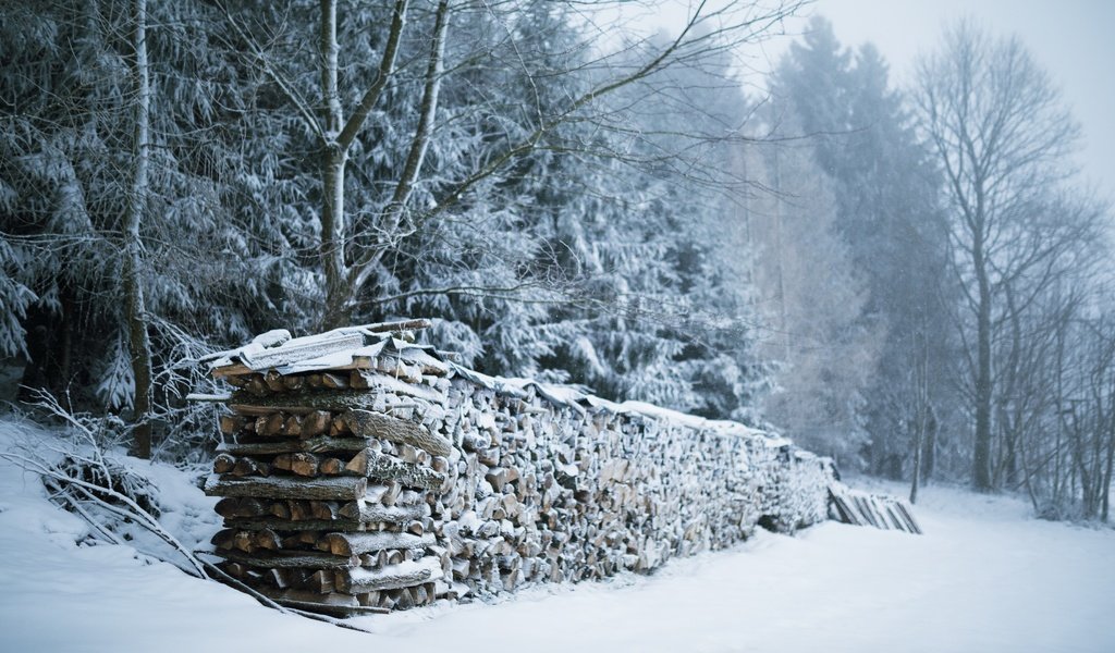 Обои снег, зима, дрова, snow, winter, wood разрешение 3840x2160 Загрузить