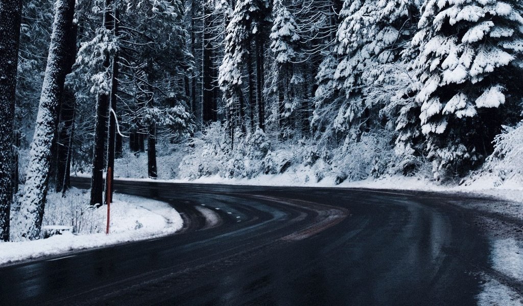 Обои дорога, деревья, снег, зима, road, trees, snow, winter разрешение 1920x1080 Загрузить