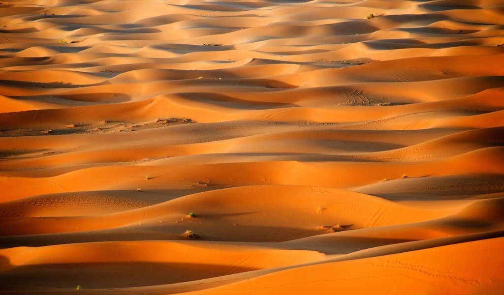 Обои песок, пустыня, бархан, sand, desert, barkhan разрешение 1920x1080 Загрузить