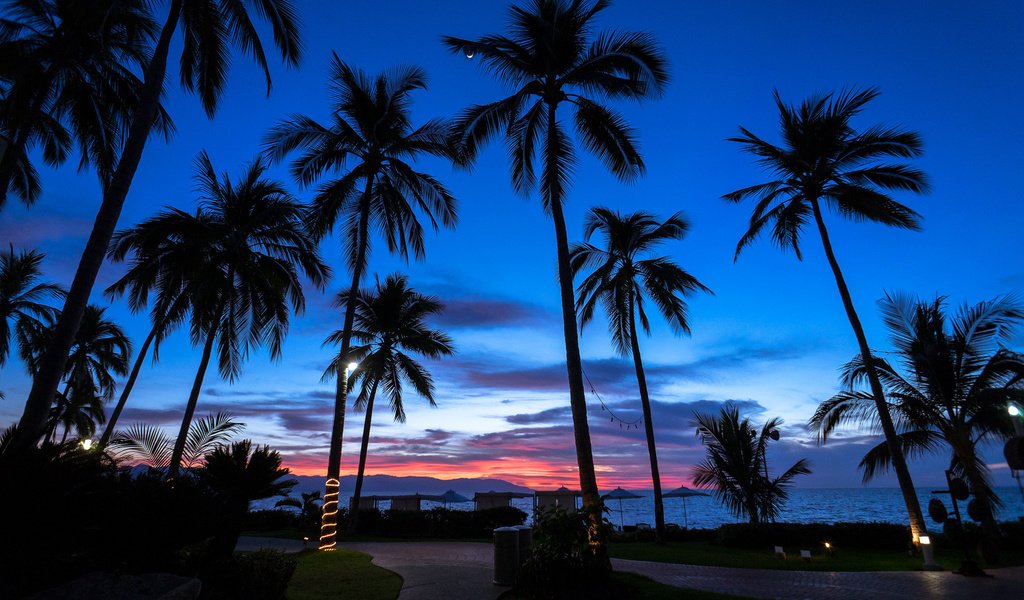 Обои вечер, пальмы, the evening, palm trees разрешение 2048x1365 Загрузить