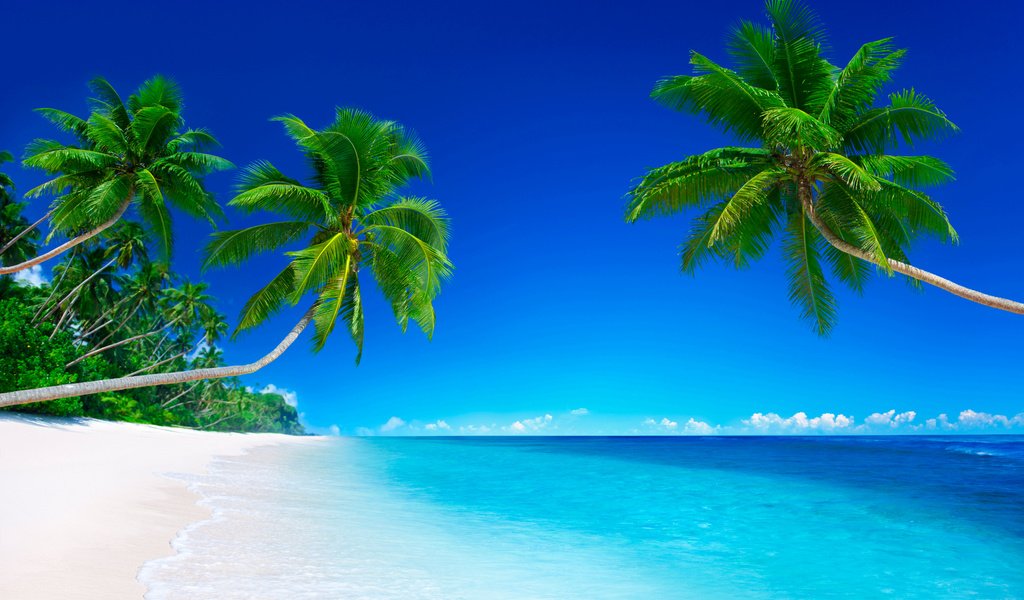 Обои пальмы тропики небо разрешение 2880x1800 Загрузить