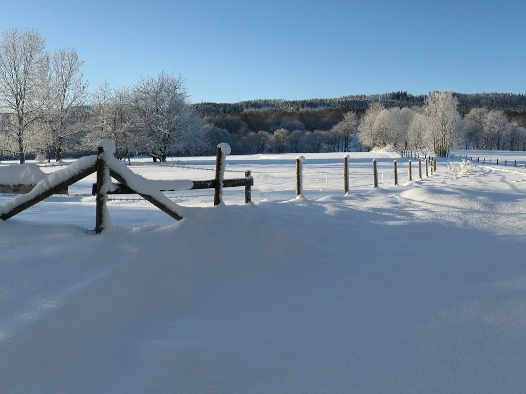 Обои снег, зима, декабрь, snow, winter, december разрешение 2560x1600 Загрузить
