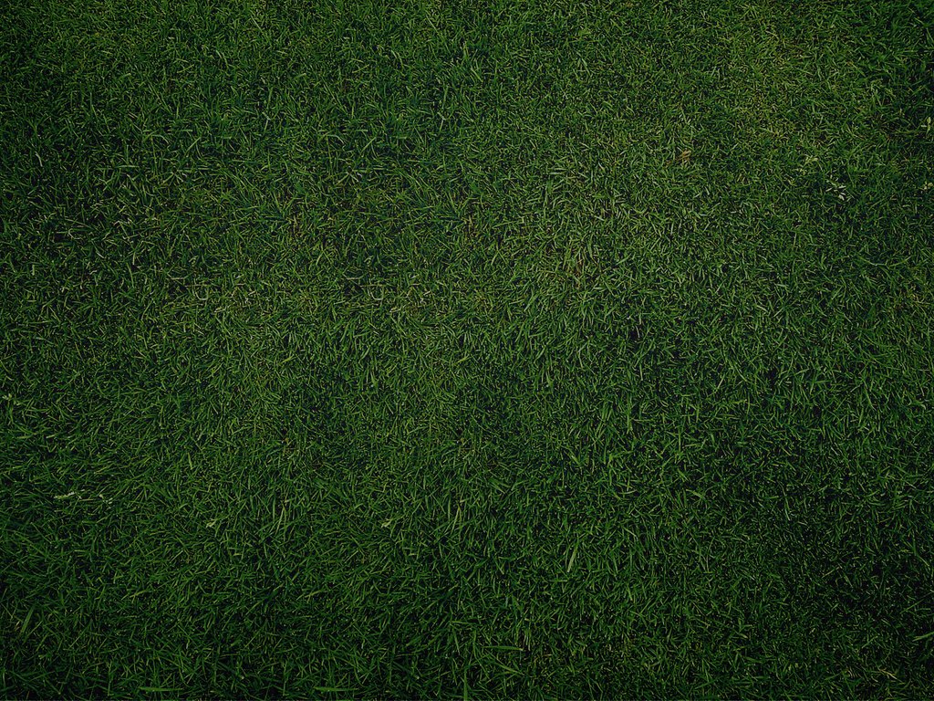 Обои трава, зелёный, газон, грин, grass, green, lawn разрешение 1920x1200 Загрузить