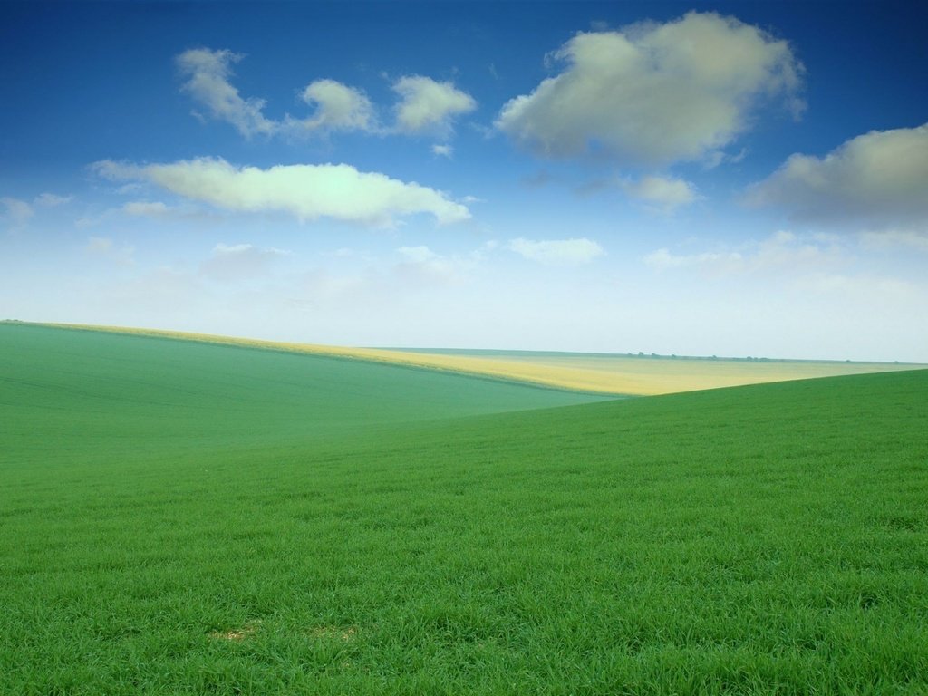 Обои небо, трава, поля, просторы, луга, the sky, grass, field, spaces, meadows разрешение 1920x1275 Загрузить