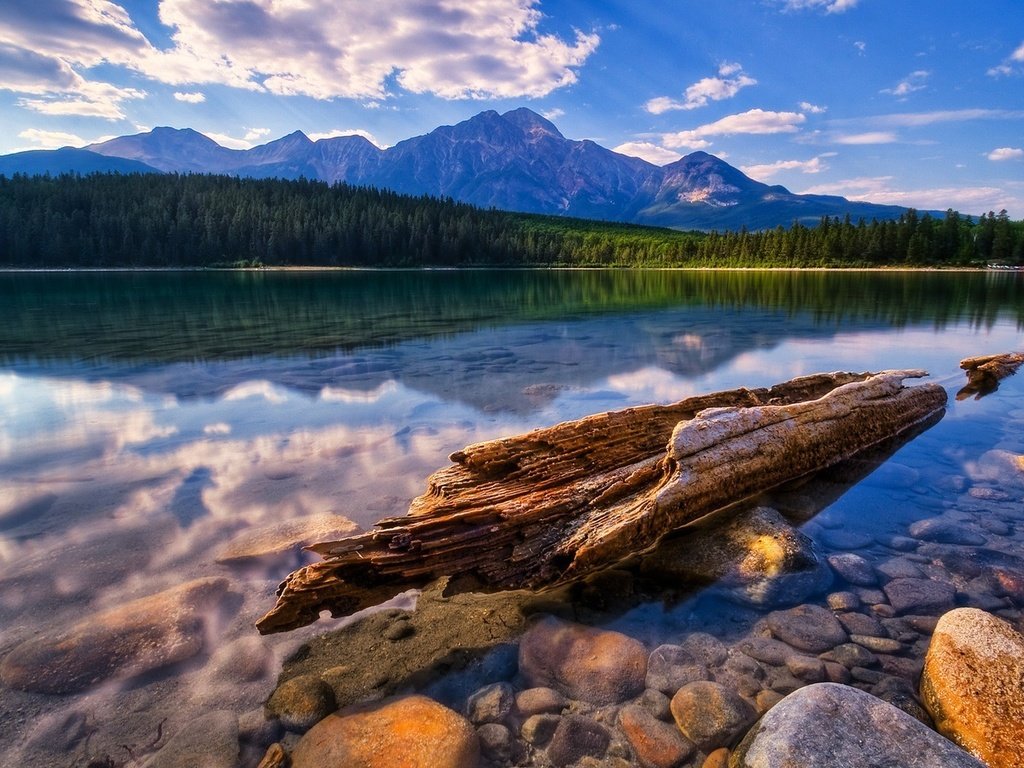 Обои озеро, горы, бревно, lake, mountains, log разрешение 1920x1200 Загрузить