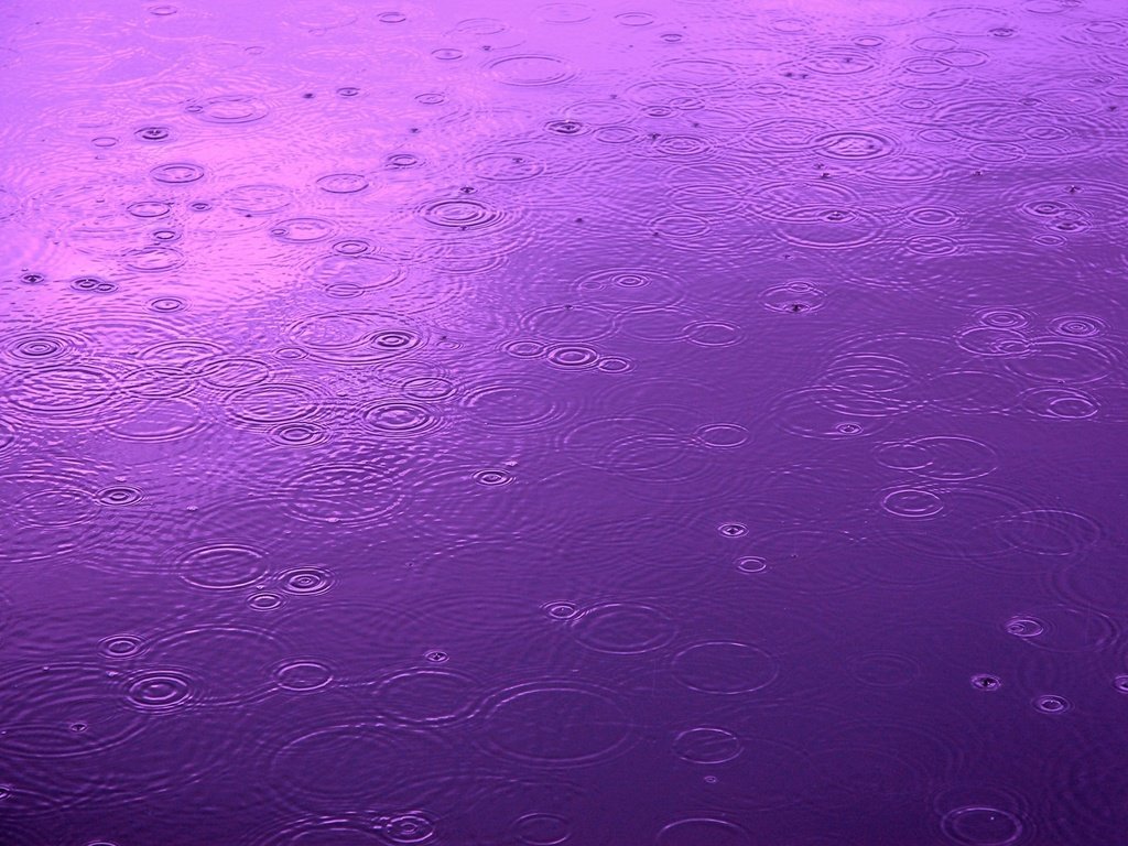Обои вода, капли, цвет, круги, дождь, water, drops, color, circles, rain разрешение 1920x1440 Загрузить