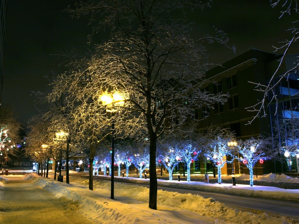 Обои деревья, фонари, огни, снег, зима, город, trees, lights, snow, winter, the city разрешение 2560x1600 Загрузить