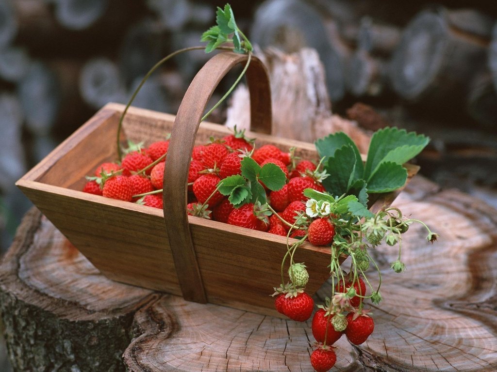 Обои еда, клубника, ягоды, food, strawberry, berries разрешение 2065x1445 Загрузить