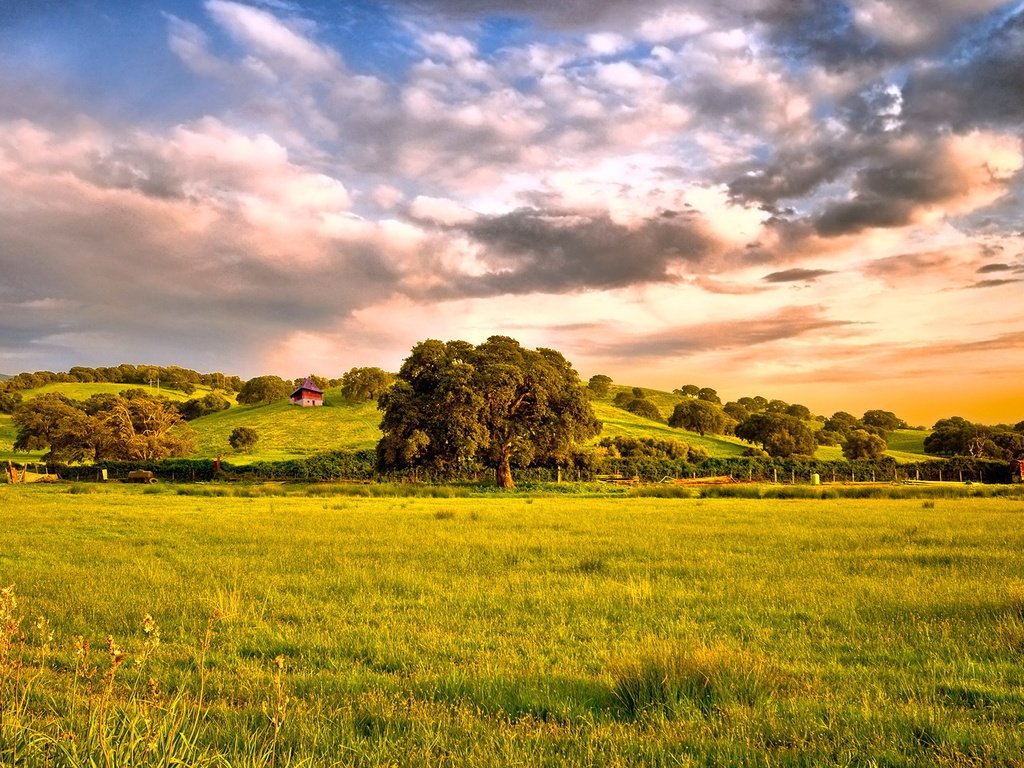 Обои небо, облака, горы, лес, пейзаж, поле, the sky, clouds, mountains, forest, landscape, field разрешение 1920x1080 Загрузить