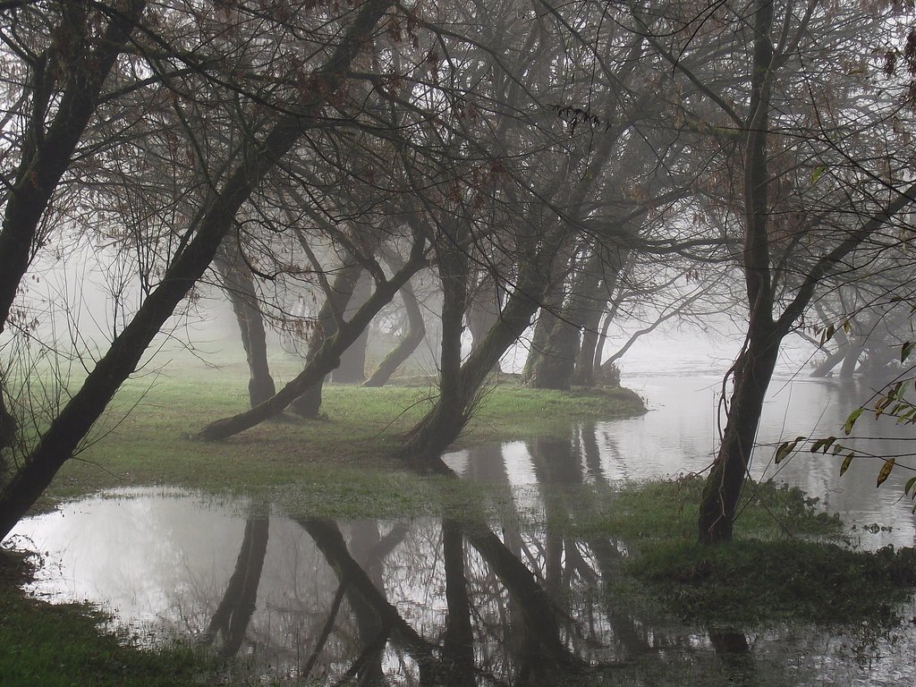 Обои деревья, вода, отражение, туман, trees, water, reflection, fog разрешение 1920x1200 Загрузить