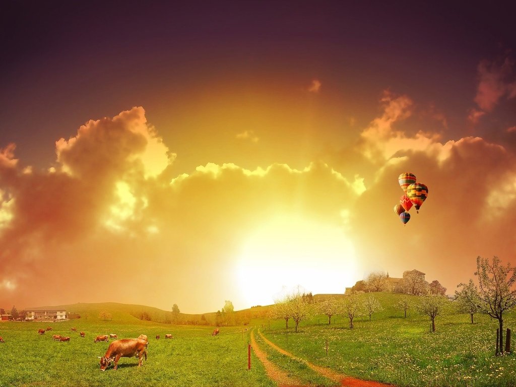 Обои небо, коровы, дорога, трава, облака, закат, поле, дома, воздушные шары, the sky, cows, road, grass, clouds, sunset, field, home, balloons разрешение 1920x1200 Загрузить