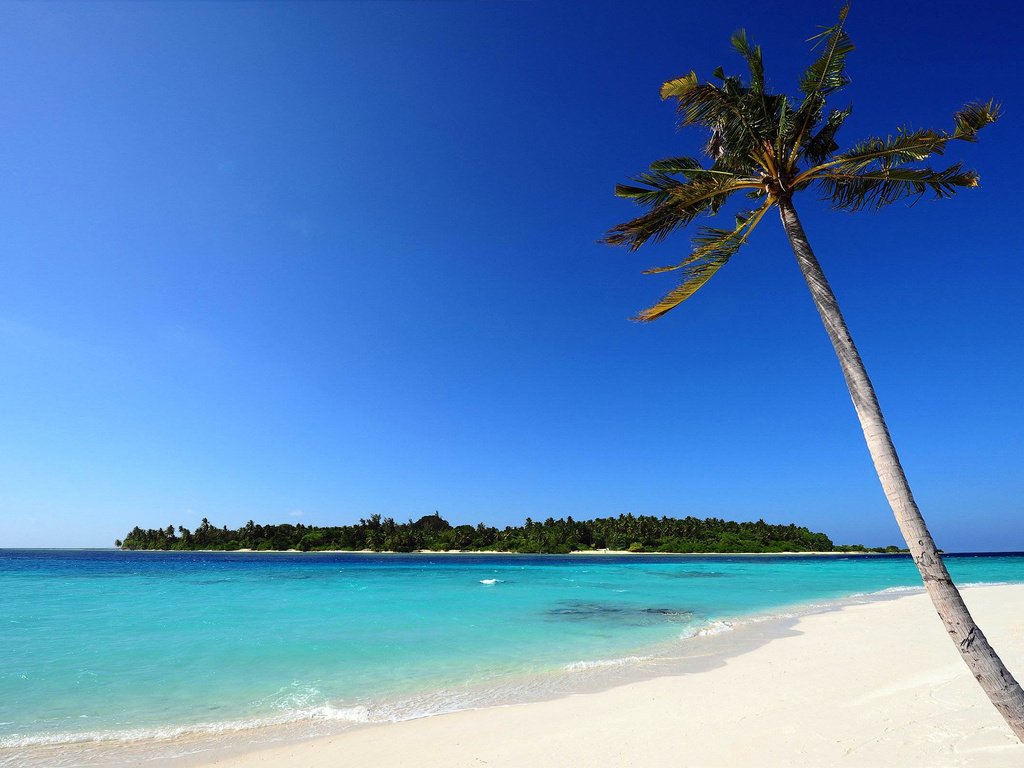 Обои пляж, тропики, beach, tropics разрешение 2560x1600 Загрузить