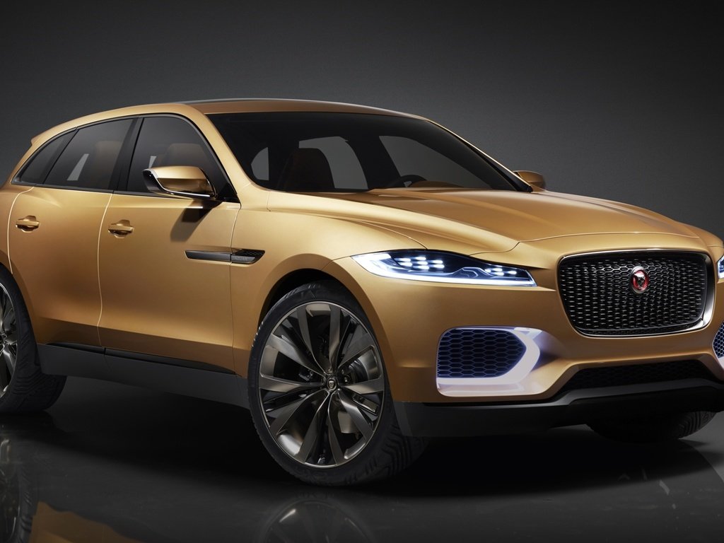 Обои ягуар, concept, концепт, передок, c-x17, 5-seater, ягуа́р, jaguar, the concept, the front, the c-x17 разрешение 1920x1200 Загрузить