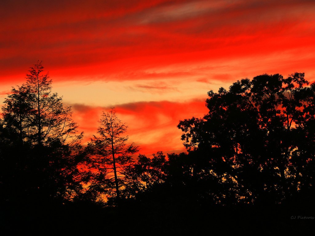 Обои небо, облака, деревья, силуэт, зарево, the sky, clouds, trees, silhouette, glow разрешение 2048x1390 Загрузить