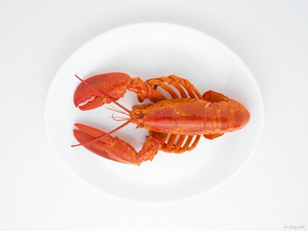 Обои белый фон, морепродукты, блюдо, клешни, рак, вареный, white background, seafood, dish, claws, cancer, boiled разрешение 1920x1438 Загрузить