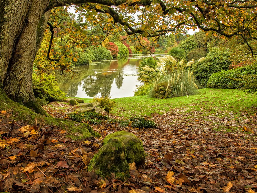 Обои деревья, озеро, пейзаж, осень, middle lake, sheffield park, trees, lake, landscape, autumn разрешение 2048x1356 Загрузить