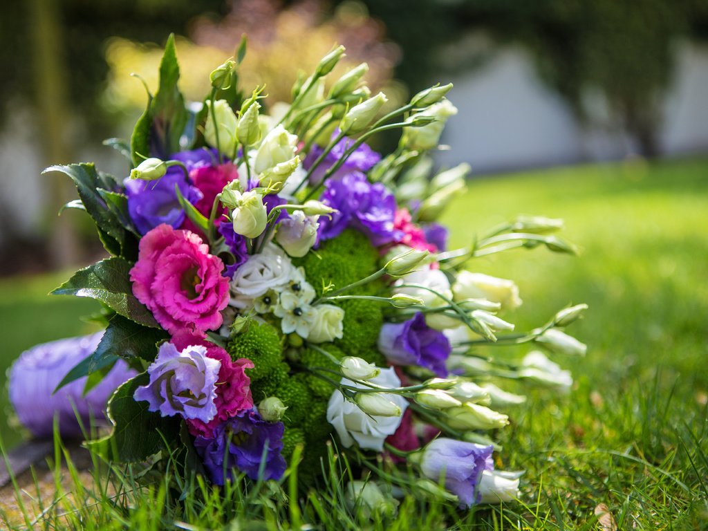 Обои цветы, букет,  цветы, эустома, flowers, bouquet, eustoma разрешение 5472x3648 Загрузить