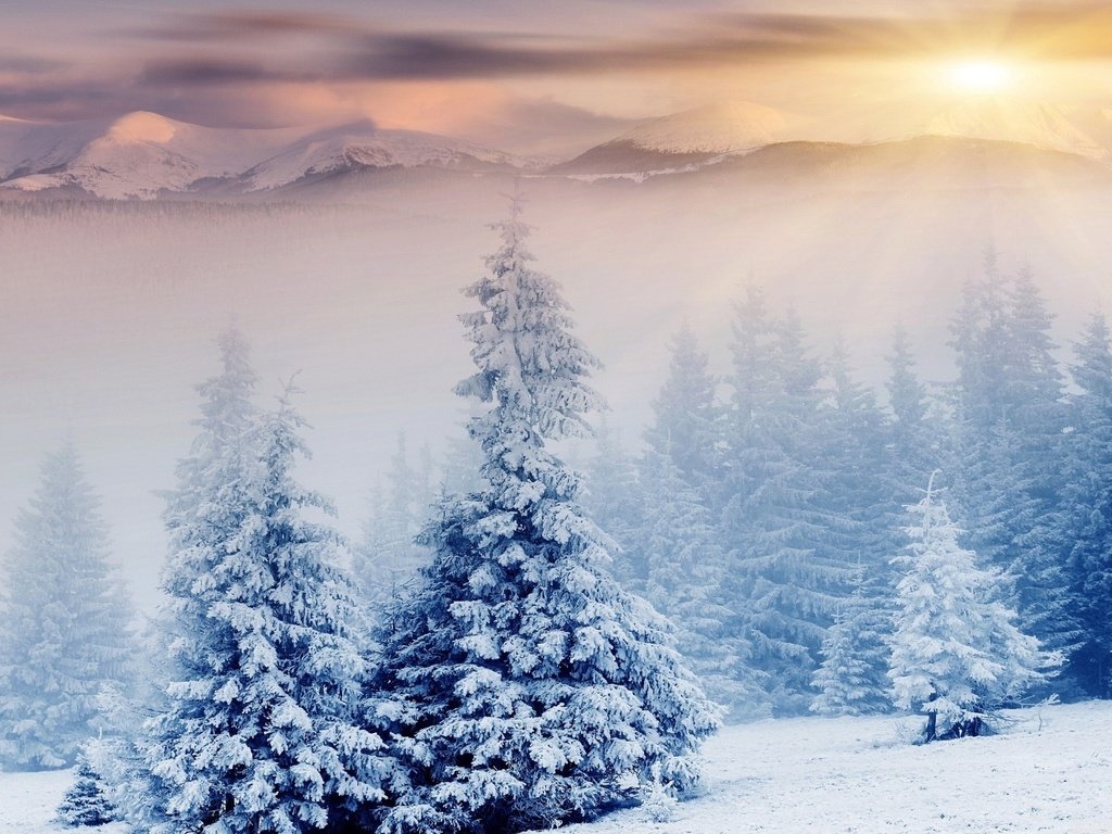 Обои деревья, горы, снег, природа, лес, зима, trees, mountains, snow, nature, forest, winter разрешение 2048x1152 Загрузить