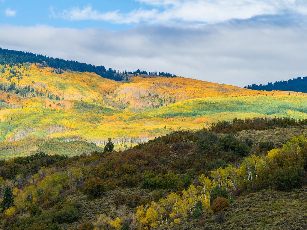 Обои деревья, горы, холмы, пейзаж, осень, trees, mountains, hills, landscape, autumn разрешение 1920x1280 Загрузить