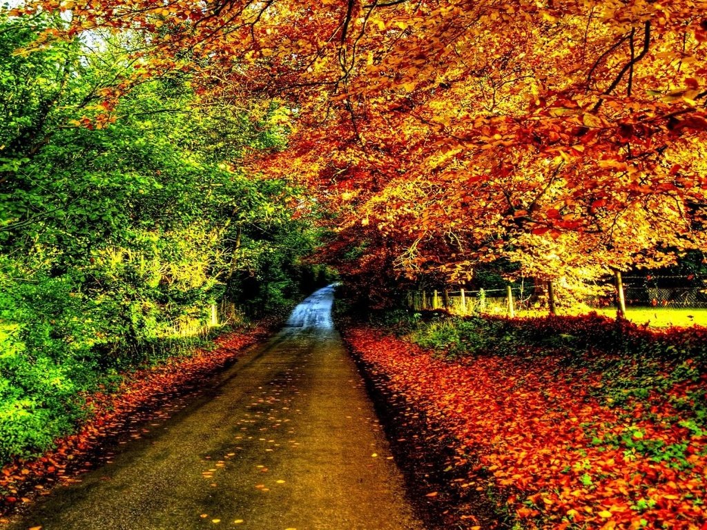 Обои дорога, деревья, природа, листва, осень, забор, англия, винчестер-гемпшир, road, trees, nature, foliage, autumn, the fence, england, winchester hampshire разрешение 1920x1080 Загрузить